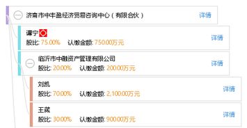 濟南市中豐盈經濟貿易咨詢中心——有限合伙企業的經濟貿易咨詢業務解析